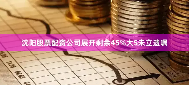 沈阳股票配资公司展开剩余45%大S未立遗嘱