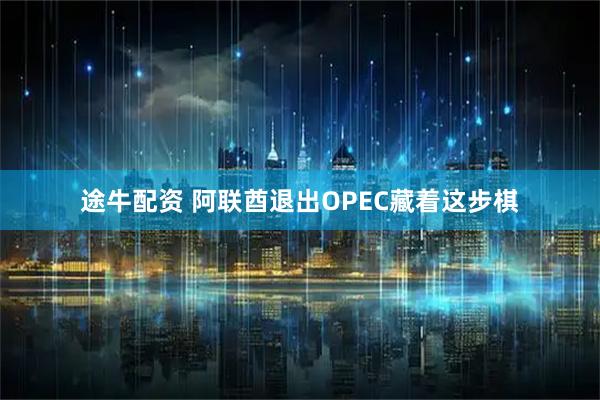 途牛配资 阿联酋退出OPEC藏着这步棋