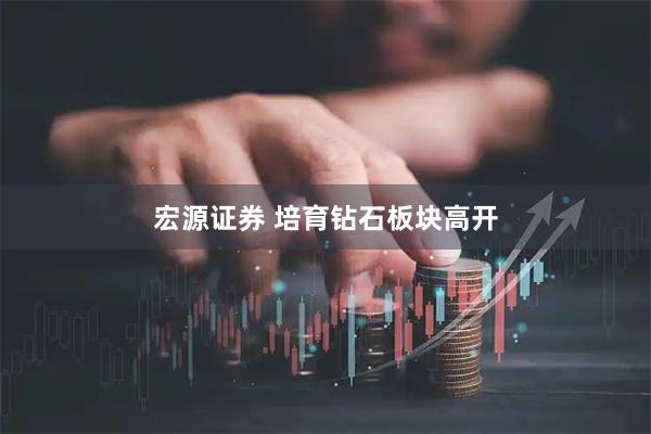 宏源证券 培育钻石板块高开