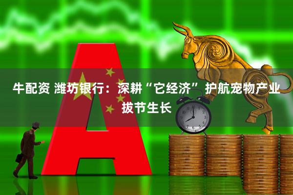 牛配资 潍坊银行：深耕“它经济” 护航宠物产业拔节生长